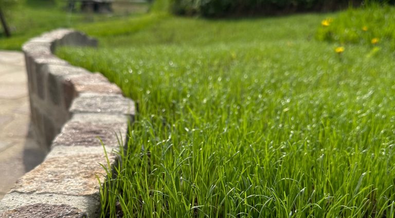 Grau gepflasterter Boden mit einem geometrischen Muster aus Rechtecken.