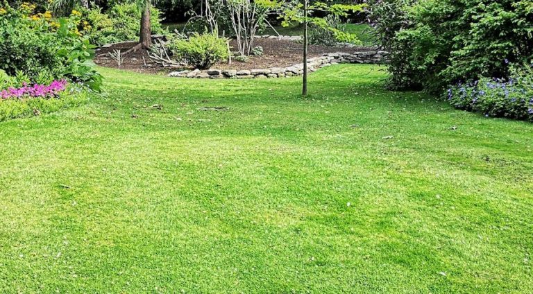 Grüner Garten mit Rasen, umgeben von Blumen und Bäumen.